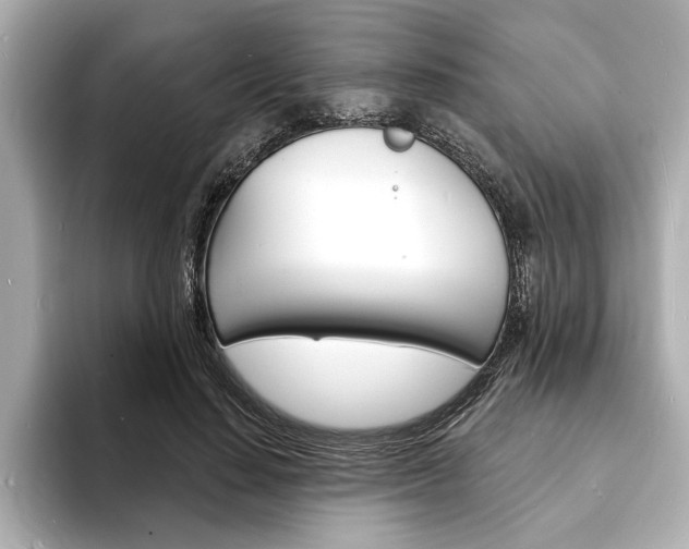 X0000093600644200710150958