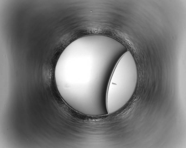 X0000093600645200710150958