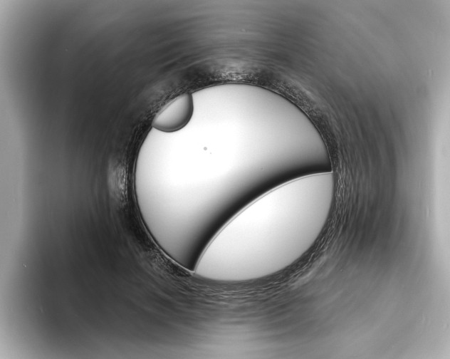 X0000093600646200710150958