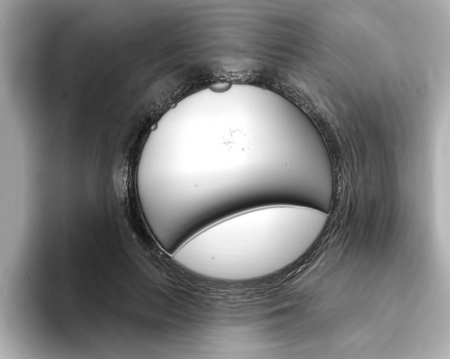 X0000093600647200710150958