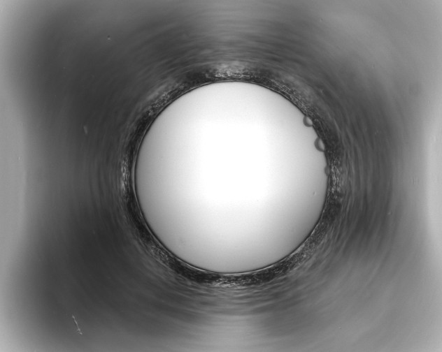 X0000093600648200710150958