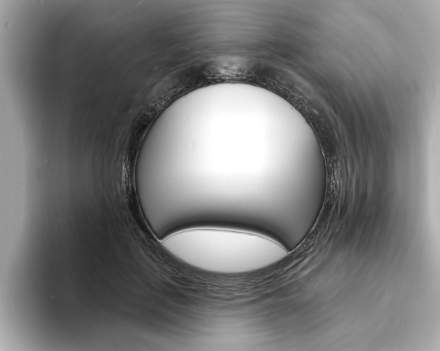 X0000093600651200710150958