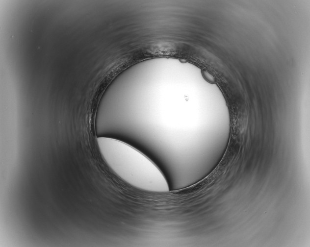 X0000093600652200710150958
