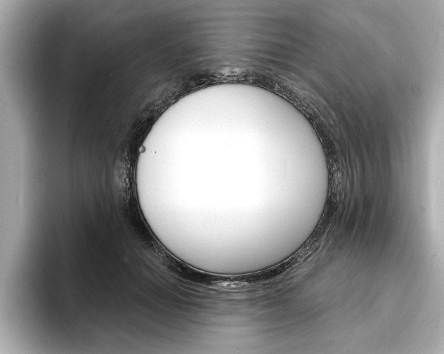X0000093600654200710150958