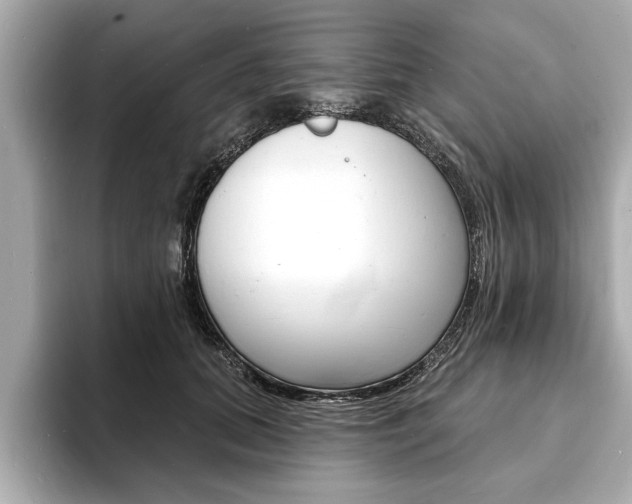 X0000093600655200710150959