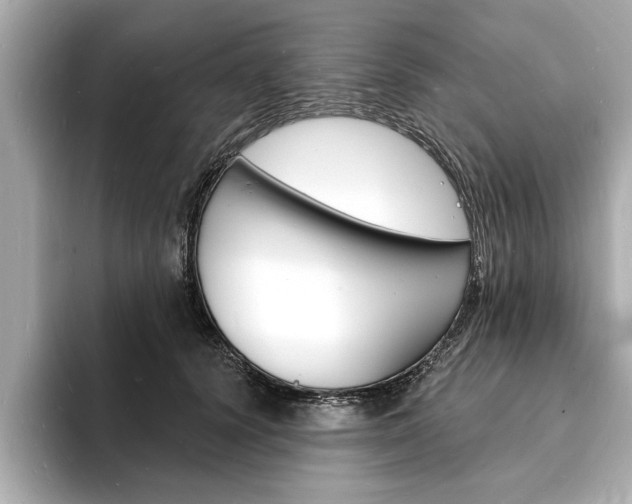 X0000093600656200710150959