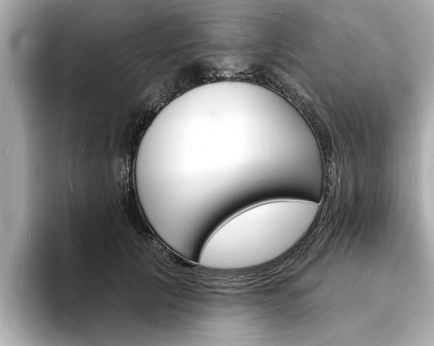 X0000093600657200710150959