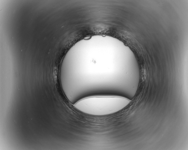 X0000093600664200710150959