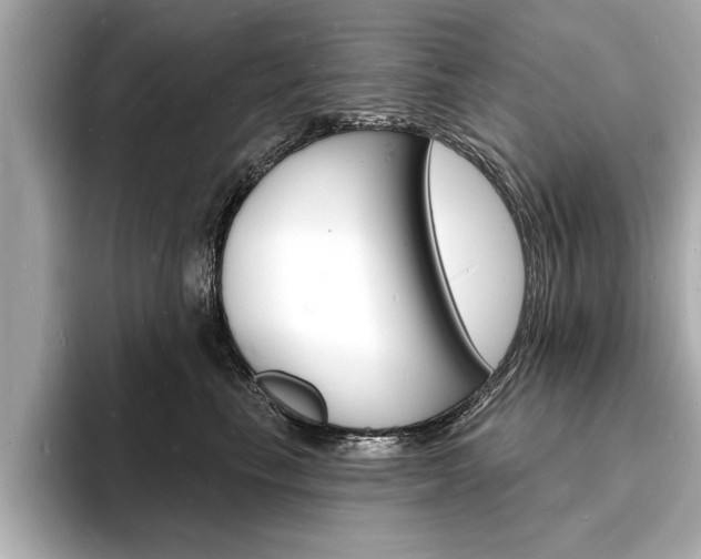 X0000093600665200710150959