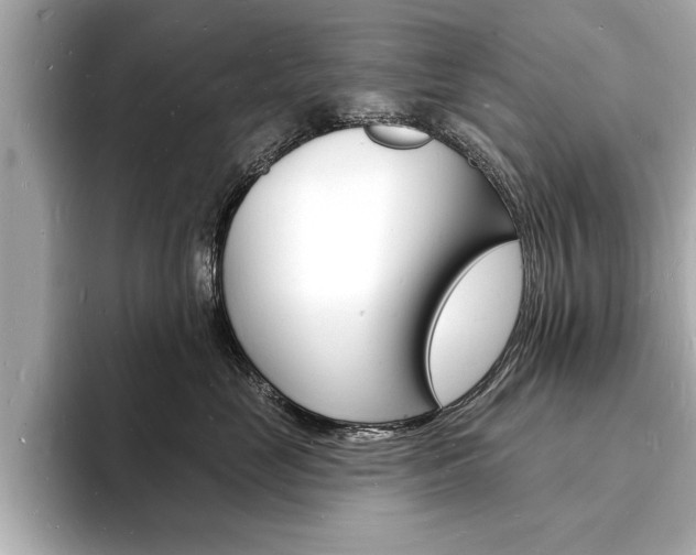 X0000093600669200710150959