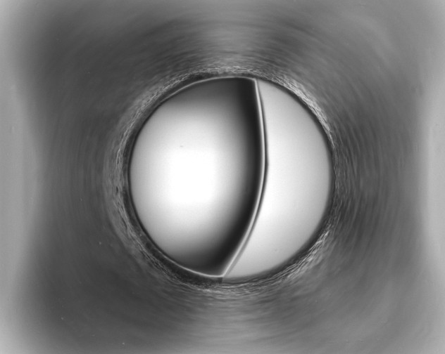 X0000093600673200710150958
