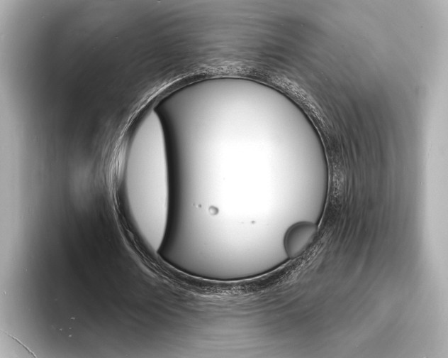 X0000093600674200710150958