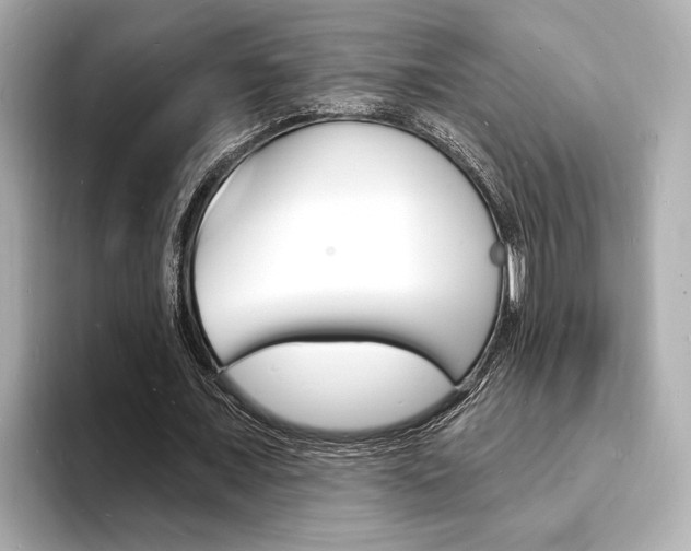 X0000093600675200710150958