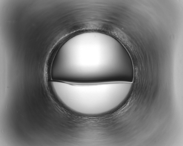 X0000093600676200710150958