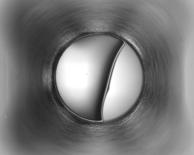 X0000093600677200710150958