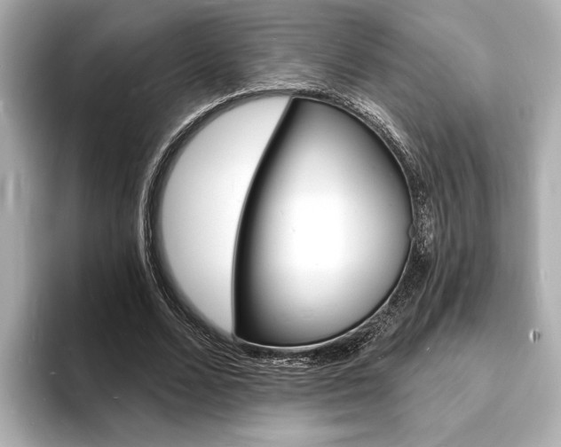 X0000093600680200710150958