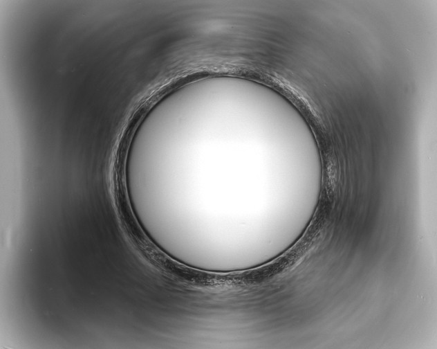 X0000093600682200710150958