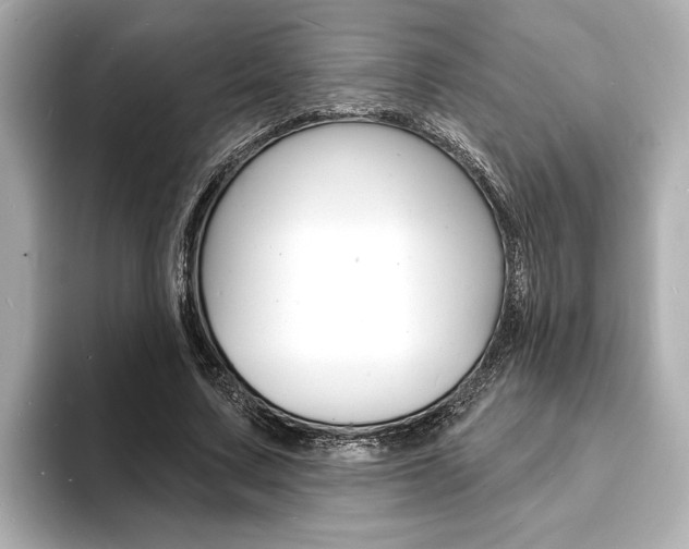 X0000093600683200710150958