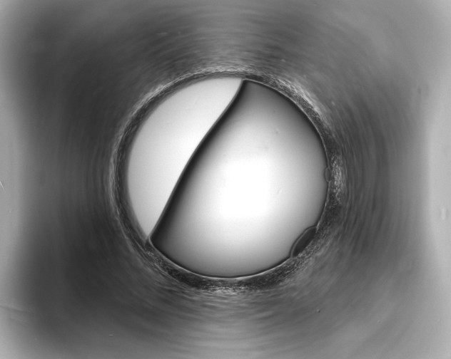 X0000093600684200710150958