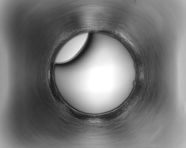 X0000093600685200710150958