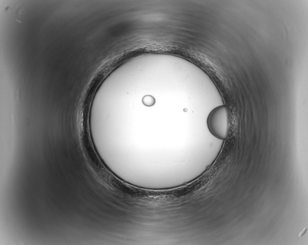 X0000093600686200710150958
