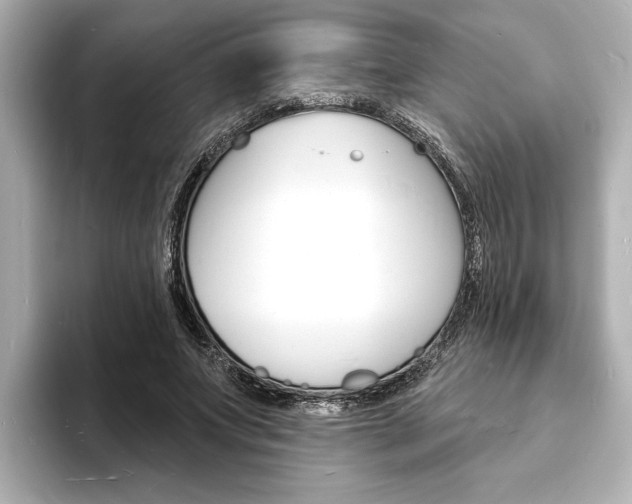 X0000093600687200710150958