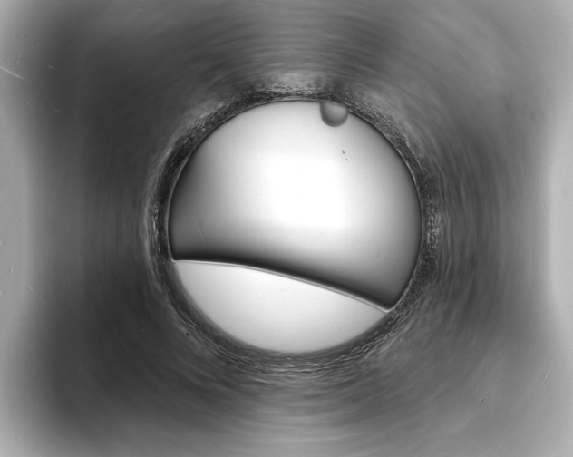 X0000093600688200710150958