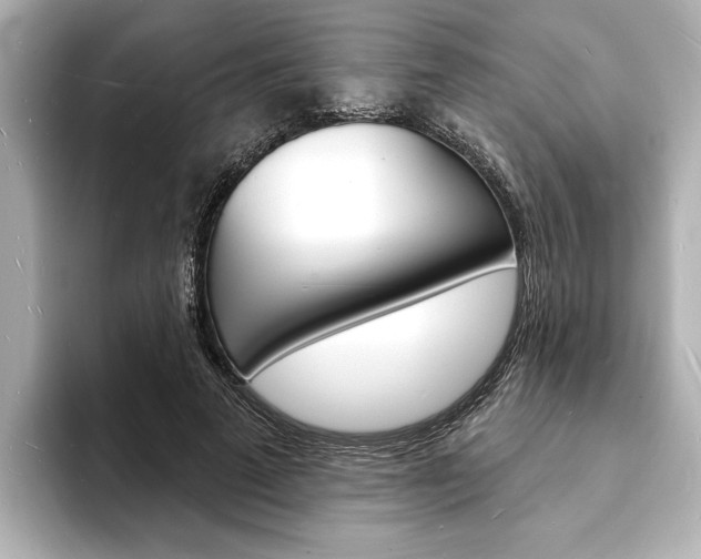 X0000093600689200710150958
