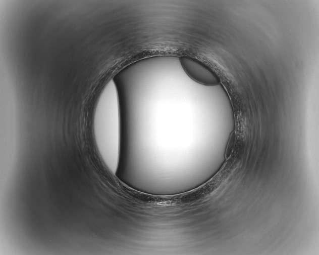 X0000093600692200710150958