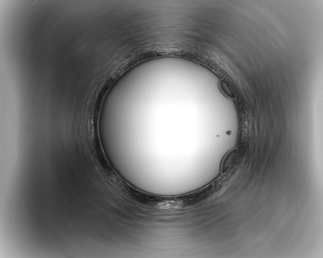 X0000093600700200710150958