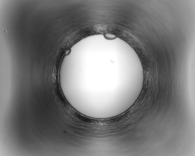 X0000093600702200710150958