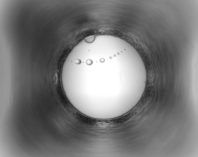 X0000093600703200710150958