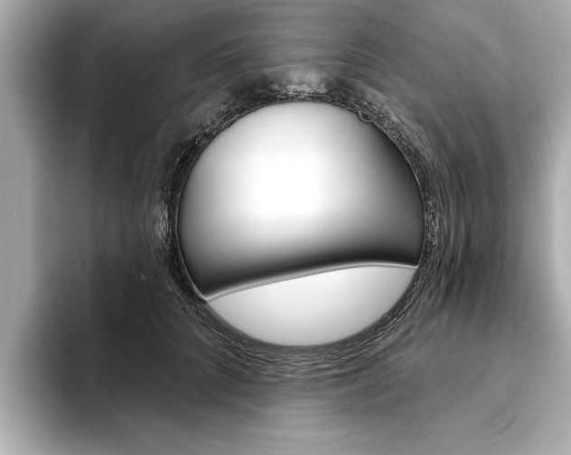 X0000093600704200710150958