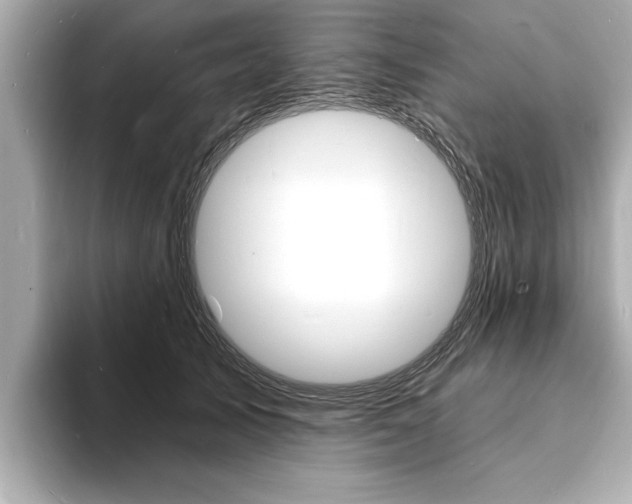X0000093600705200710150958