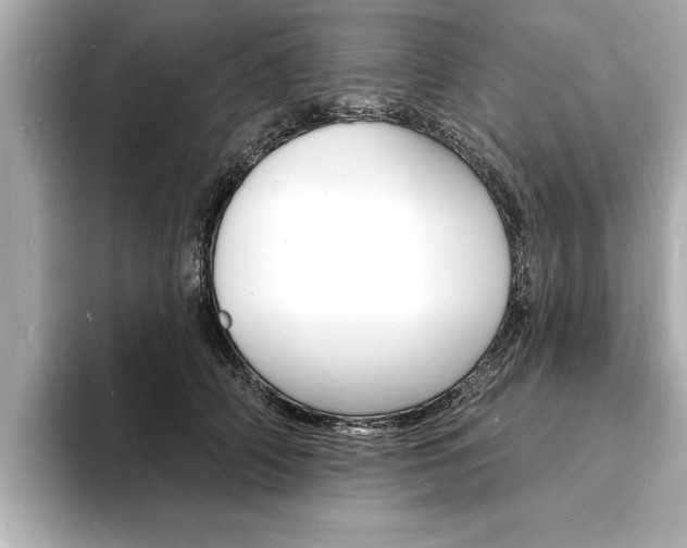 X0000093600706200710150958
