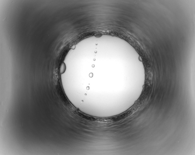 X0000093600707200710150958
