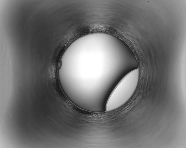 X0000093600708200710150958