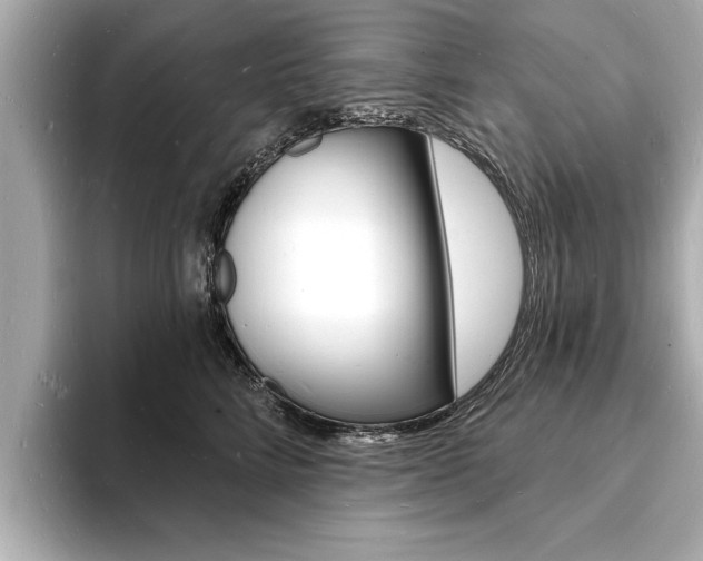X0000093600712200710150958