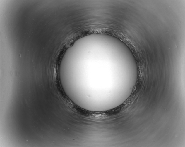 X0000093600716200710150958