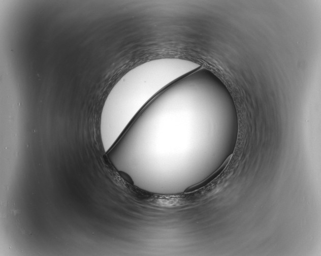 X0000093600720200710150958