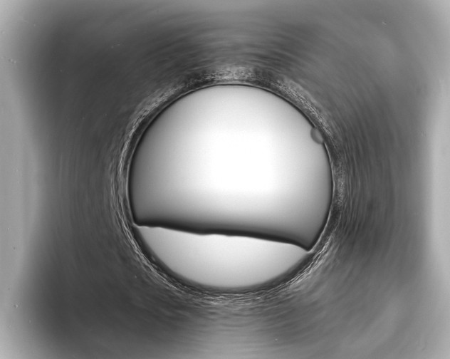 X0000093600721200710150957