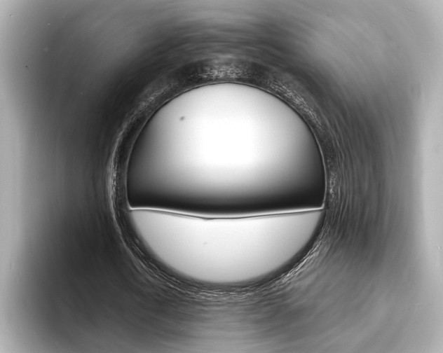 X0000093600722200710150957
