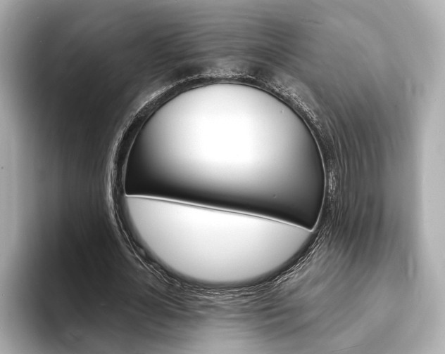 X0000093600724200710150957