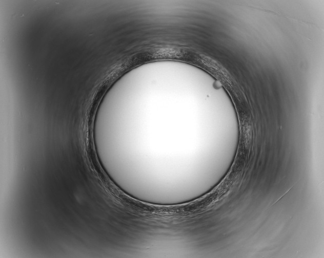 X0000093600729200710150957