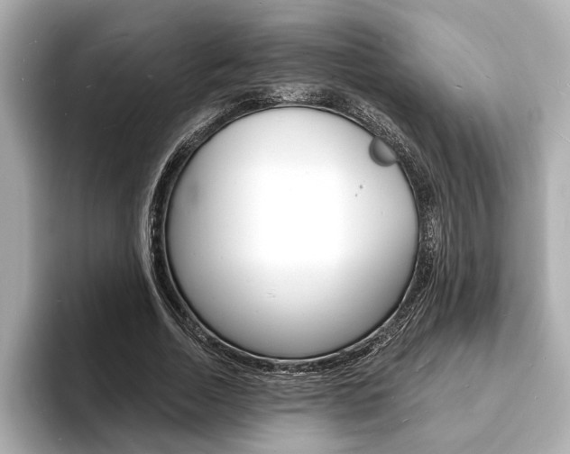 X0000093600730200710150957