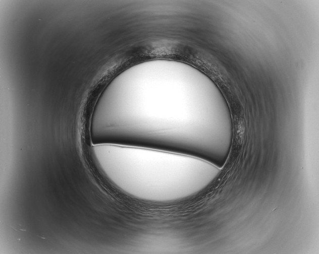 X0000093600732200710150957