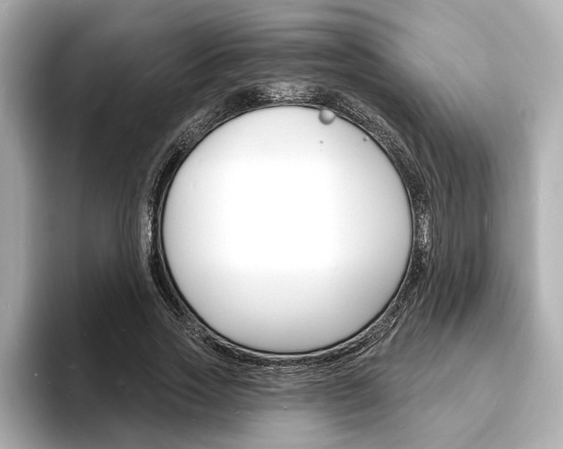 X0000093600733200710150957
