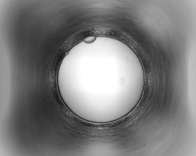X0000093600737200710150957