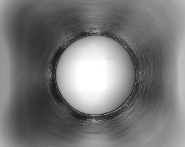 X0000093600739200710150957