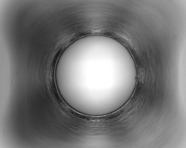 X0000093600740200710150957